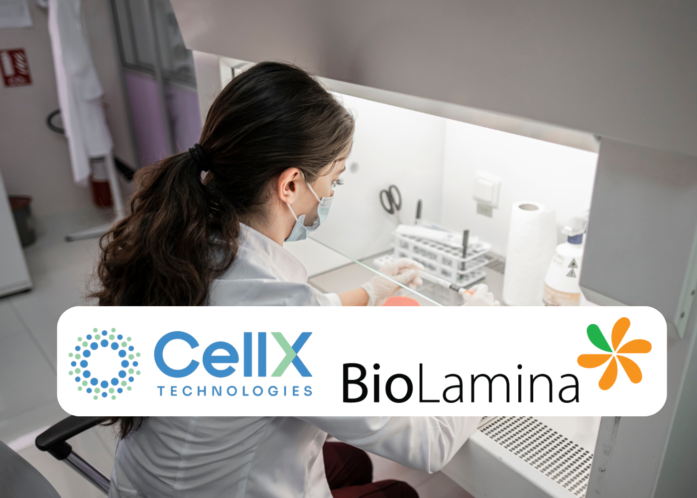 Cell X Technologies and BioLamina Partner on induced pluripotent stem ...