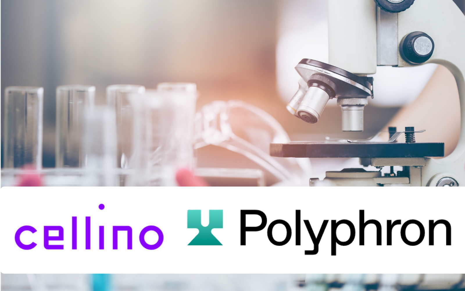 Cellino and Polyphron Teaming Up to Scale Personalized Tissue ...
